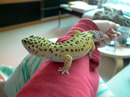 0216_Bu01.jpg