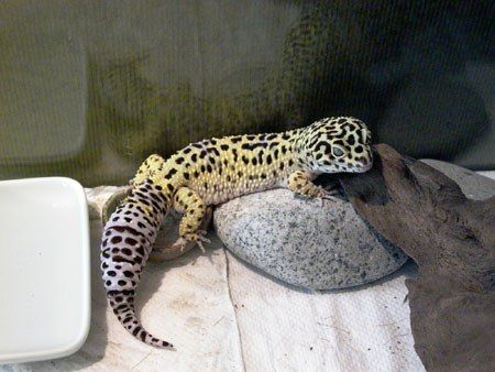 0216_Marly01.jpg