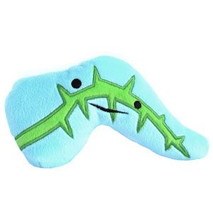 pancreas plush