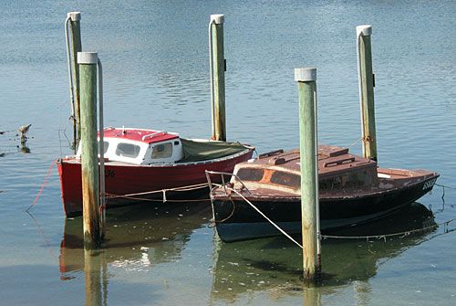 Photo: boats moored in Patterson River