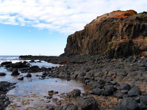 Photo: Rocks at Cape Schanck