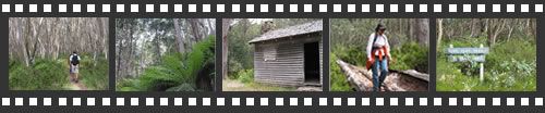 Photo filmstrip with highlights from Lake Mountain walk