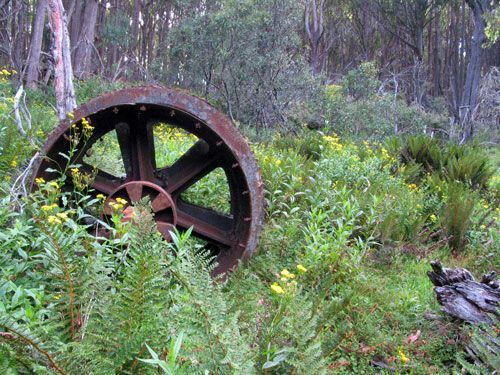 Photo: Rusted ruins on Old Taggerty Road