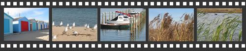 Photo filmstrip with highlights from Mordialloc-Carrum walk