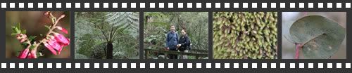 Photo filmstrip with highlights from Mt Everard walk