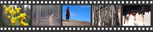 Photo filmstrip with highlights from You Yangs walk
