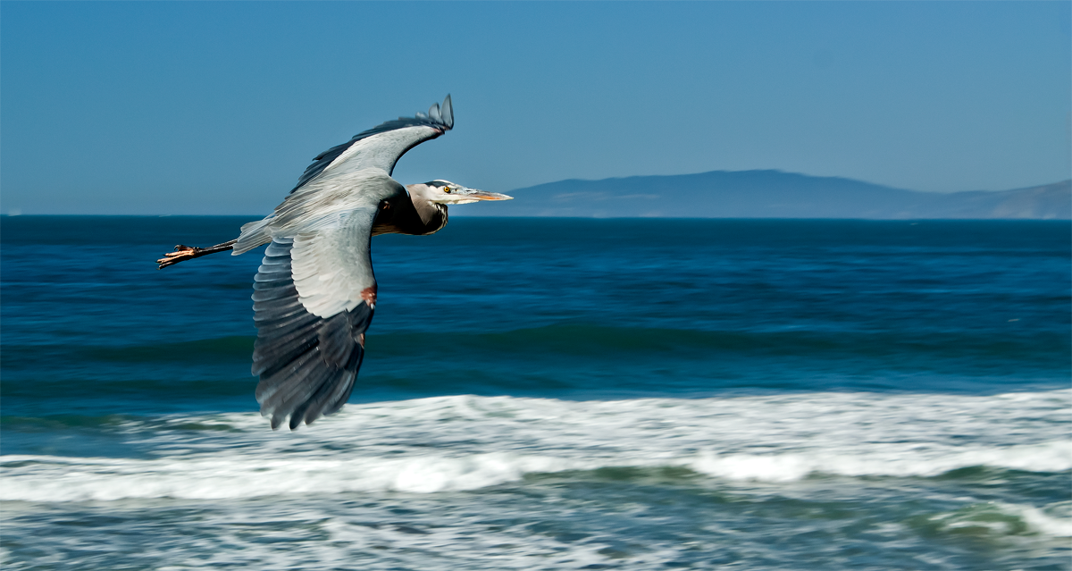 IMAGE: http://i5.photobucket.com/albums/y152/prejan/crop.png