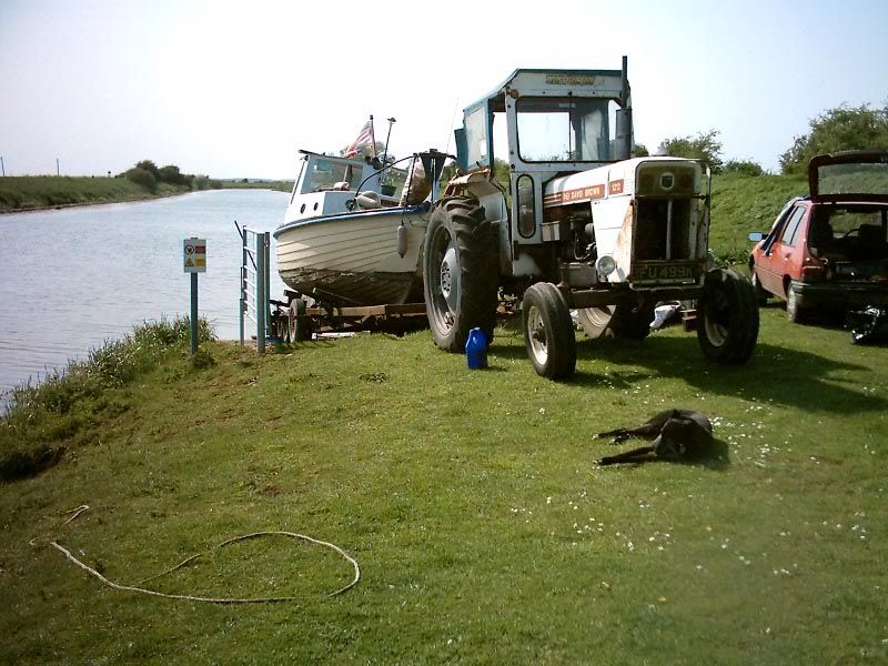 Best Breed of Dog for Canal Boats Holidays Afloat Canal World