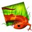 PhotosandVideos.png