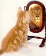 kitten lion mirror