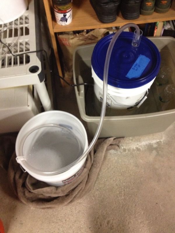 Blow off tube set up Homebrew Talk Beer, Wine, Mead, & Cider