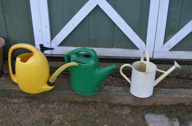  photo DSC_0050_zpse6e5ed93.jpg