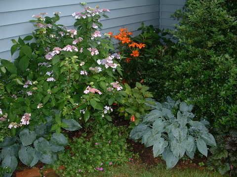 Photobucket - Video and Image Hosting