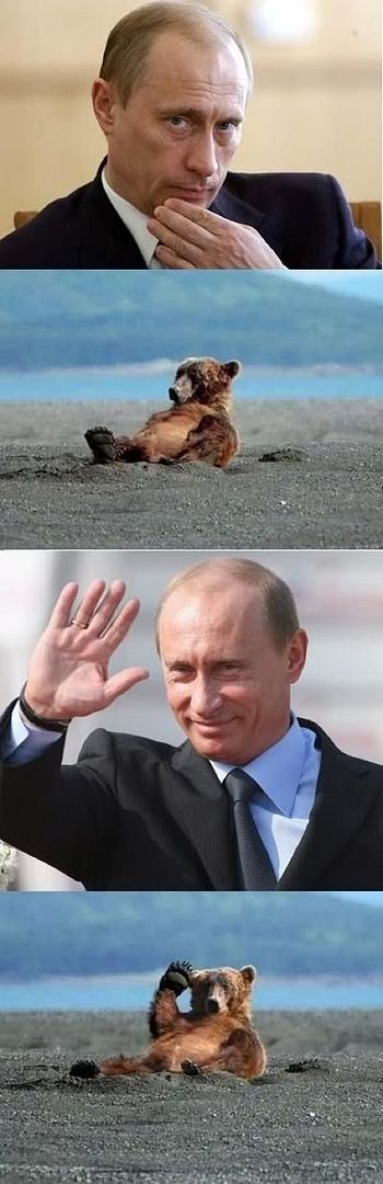 OhHiBearHiPutin.jpg