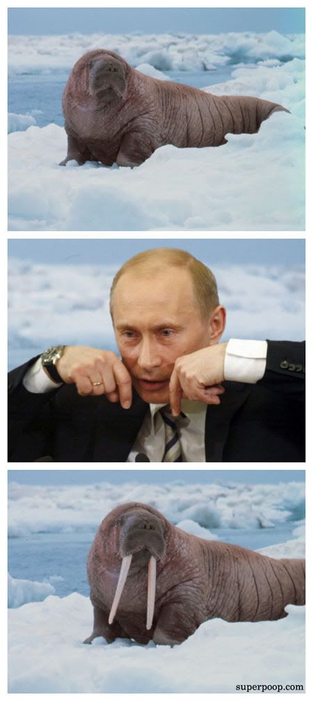 when-putin-says-tusks-you-say-da.jpg