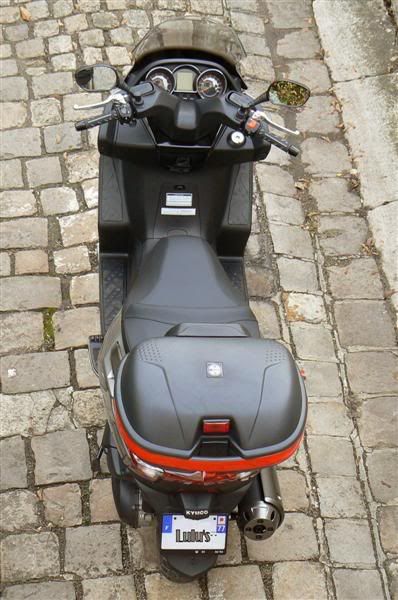 ds20091115-2Medium.jpg
