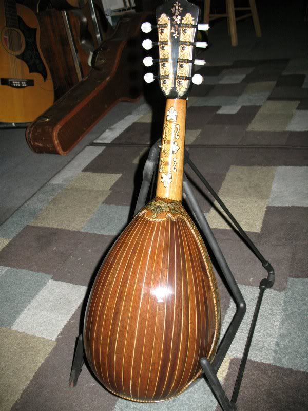 mandolin12.jpg