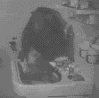monkeywashescat.gif
