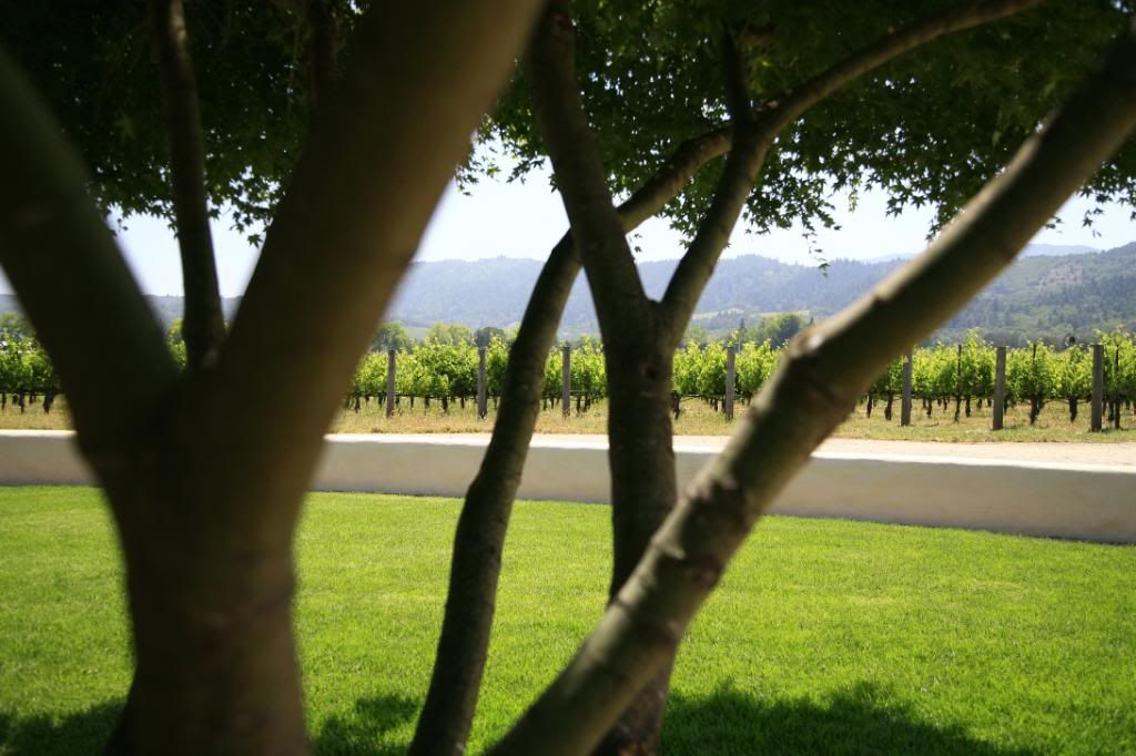 IMAGE: http://i5.photobucket.com/albums/y156/dentx/Napa/np56.jpg