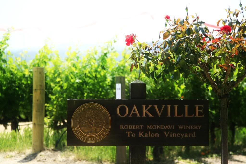 IMAGE: http://i5.photobucket.com/albums/y156/dentx/Napa/np61.jpg