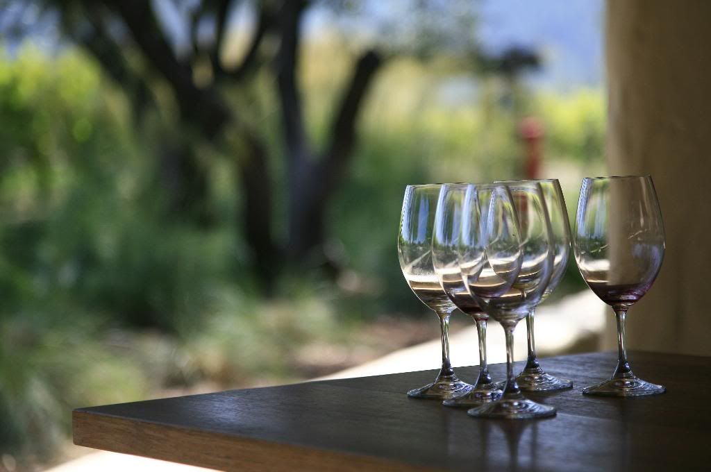 IMAGE: http://i5.photobucket.com/albums/y156/dentx/Napa/np63.jpg