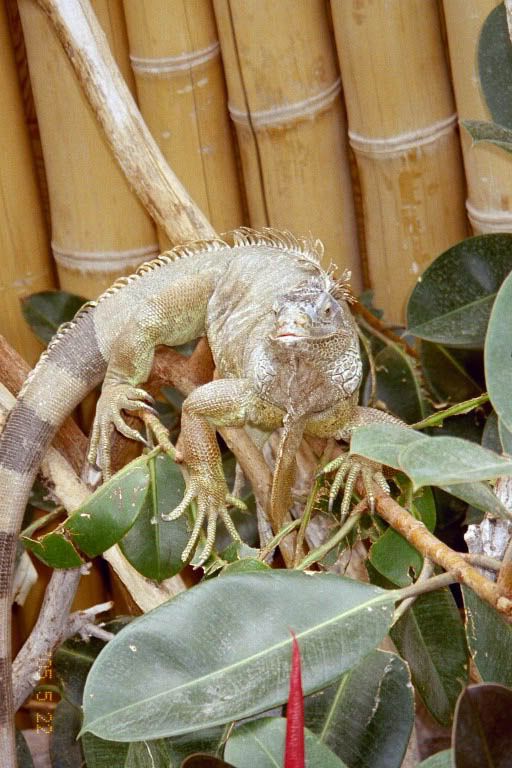 Image hosted by Photobucket.com