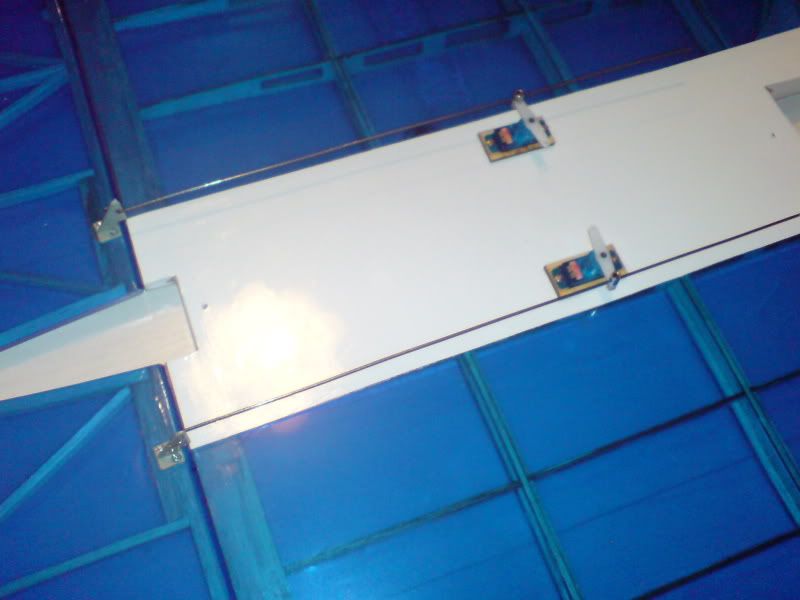 DSC01665.jpg