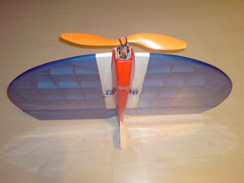 DSC01703.jpg