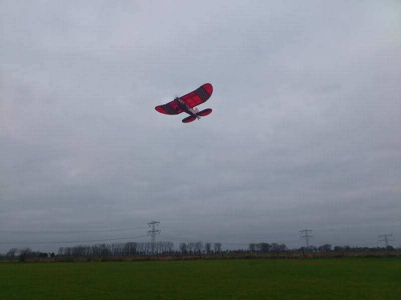 DSC_0041.jpg