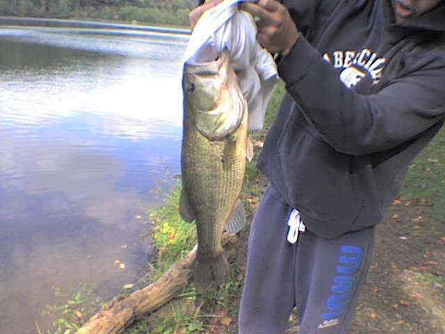 http://i5.photobucket.com/albums/y157/TwoFortySX/BASS3.jpg