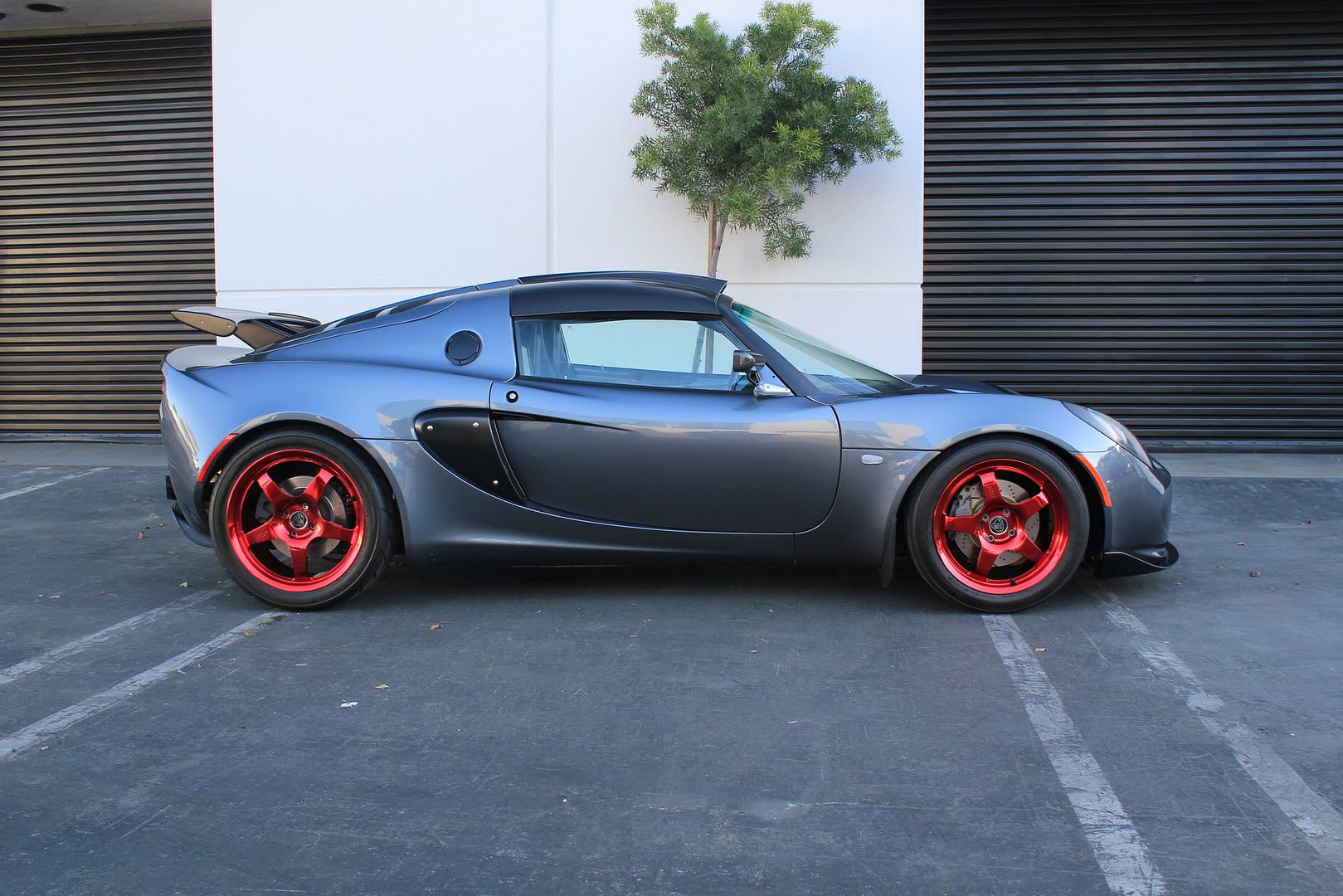 [Image: IMG_4729.jpg]