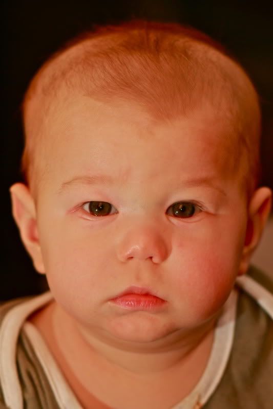 IMAGE: http://i5.photobucket.com/albums/y158/jed212/I%20see%20therefore%20I%20shoot/IMG_2077.jpg