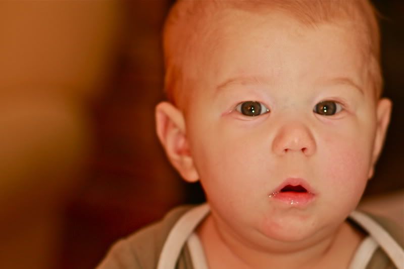 IMAGE: http://i5.photobucket.com/albums/y158/jed212/I%20see%20therefore%20I%20shoot/IMG_2084.jpg