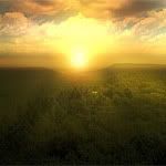 Imagen Enviada