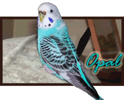 Opal_Sig.gif