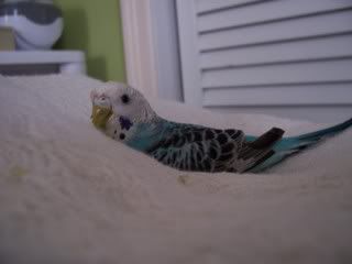 Picture002.jpg