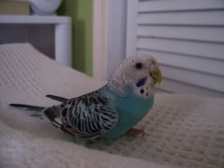 Picture004.jpg