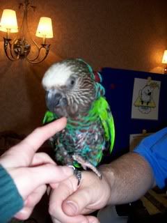 Picture006.jpg