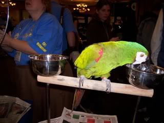 Picture007-1.jpg