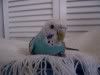 Picture007.jpg