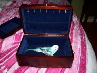 Picture009.jpg