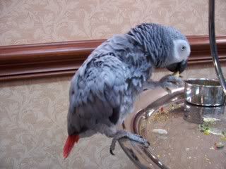 Picture013.jpg
