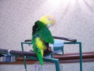 Picture014-1.jpg
