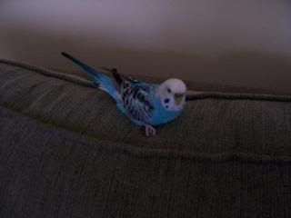 Picture014.jpg