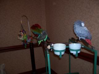 Picture017.jpg