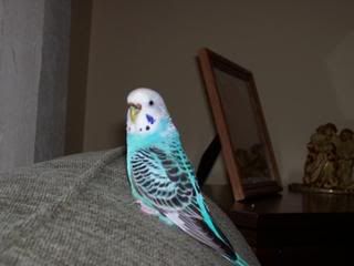 Picture021.jpg