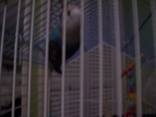Picture022.jpg