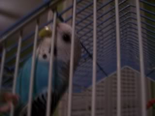 Picture023.jpg