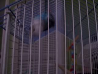 Picture024.jpg
