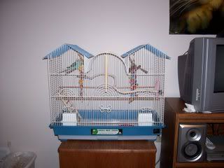 Picture025.jpg
